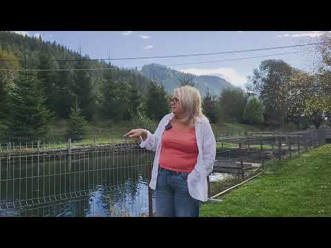 Un colț de rai în Bucovina. Pensiunea Liliana din Câmpulung Modovenesc