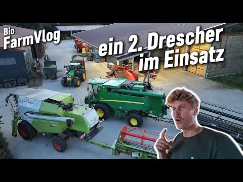 All means are being exhausted! A Claas combine harvester must be brought in... / Vlog 192