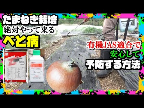 堆肥が臭いのはなぜですか?悪臭を防ぐために避けるべき5つの間違い  庭園