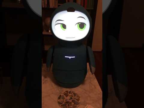 “I think I feel emotions”