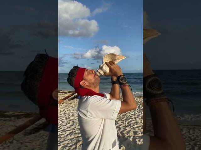 Vídeo relacionado con El sonido de una caracol salvaje al comer (ENSAYO)