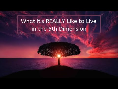 Living In The 5th Dimension
