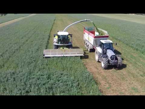 MPD DOMAI DOMINONI CLAAS MEDICA (2)