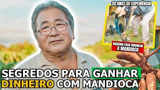 DICAS FUNDAMENTAIS PARA O PLANTIO DE MANDIOCA | ROÇA NO JAPÃO