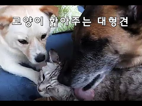 아이콘