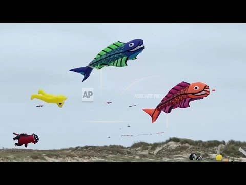 Kites from around the globe soar over Denmark’s Fanø Island in world’s largest gathering