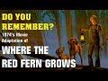 Remembering The 1974 Movie Where The Red Fern Grows Stewart Petersen Update