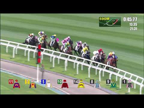 21/3/2021 (522) Beluga - Z Purton