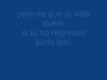 Un dia mas sin ti ( letra ) 