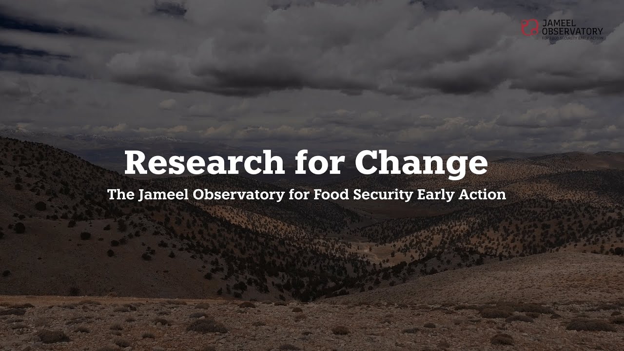 Research for change: The Jameel Observatory for Food Security Early Action