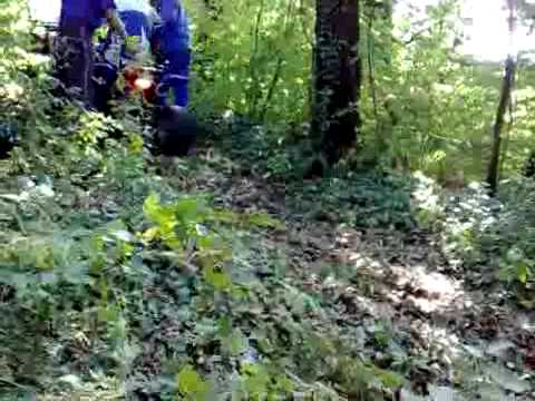 38.DEČKI  ŽUTNICE - Današnje forsiranje brda Lesičaka