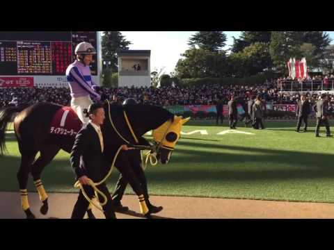 ホープフルS パドック 騎手騎乗後 レイデオロ グローブシアター 2016 競馬 Keiba