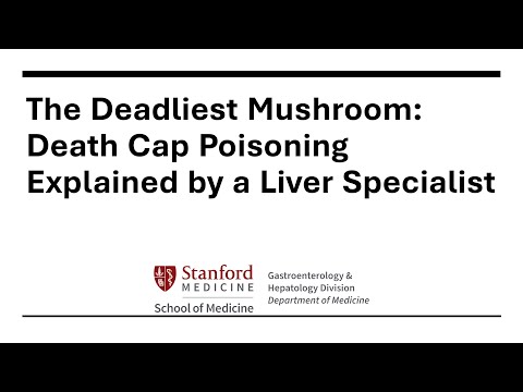 The Deadliest Mushroom: Death Cap Poisoning Explained by Stanford Liver Specialists