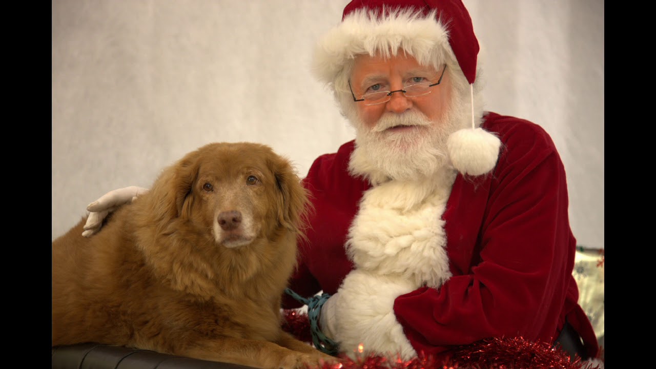 Hire Magical Santa - Santa Claus in Richmond, Virginia