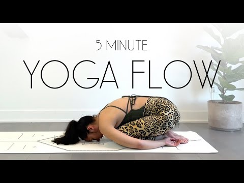The BEST Morning Yoga Under 5 Minutes DO THESE STRETCHES DAILY Beginner Yoga