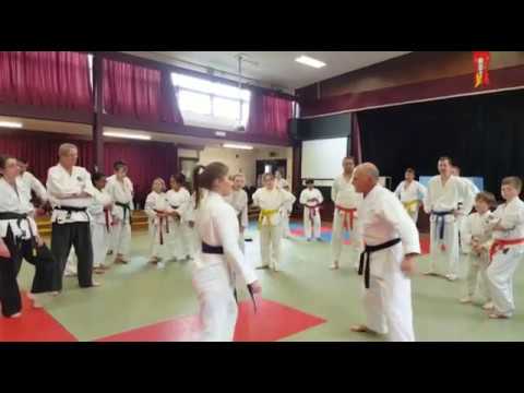 Sensei Double armbar