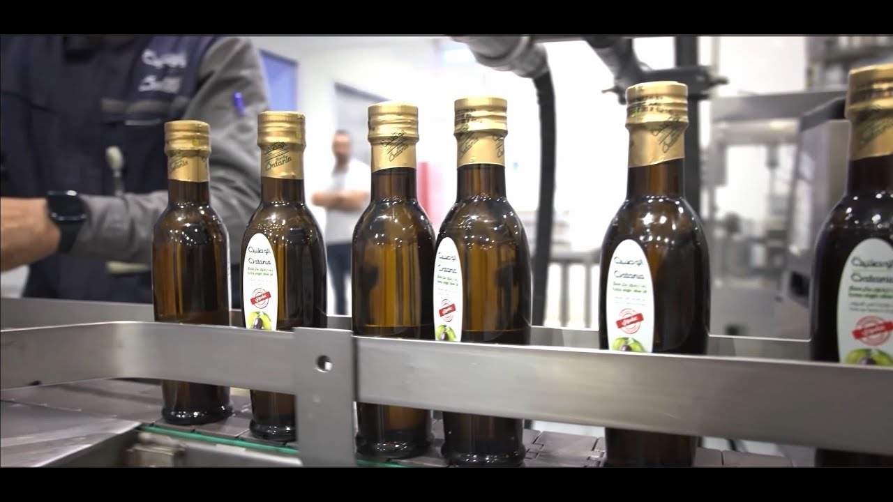 Watania-Olive