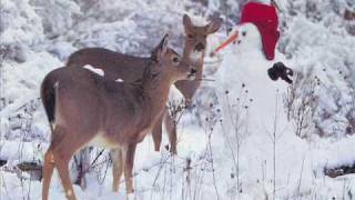 Cliff Richard: We should be Together for Christmas - with lyrics