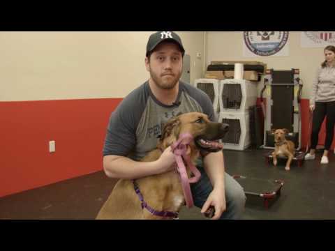 Video thumbnail: Client Testimonial: Marc and Sasha