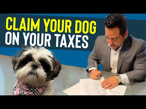 , title : 'HOW TO WRITE OFF YOUR DOG ON YOUR TAXES!'