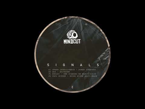 Swarm Intelligence - Power Corrupts [MINDCUT20]