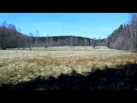 Stempelstelle 191 Laubtalblick - Harzer Wandernadel