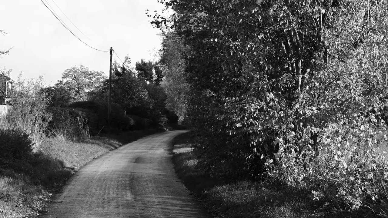 Nikon Z50II — 4K Test Footage - YouTube