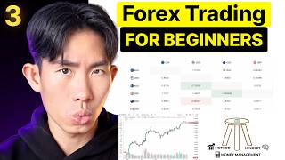 Forex Trading Basics for Beginners — Step-by-Step Guide & Transcript