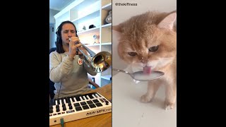 Download lagu The Kiffness X NumNum Cat (Live Looping Balkan Remix) mp3 Download lagu The Kiffness X NumNum Cat (Live Looping Balkan Remix) mp3