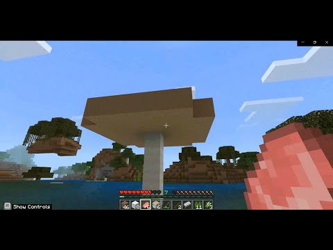 Found a swamp biome | Minecraft Education Edition