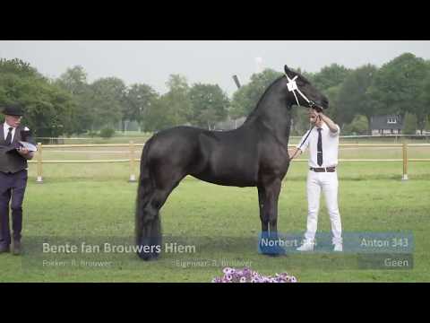 Locatiekeuring Stal Lueks 13 – 6 – 2020