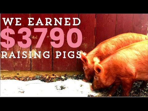 Make Money with Pastured Pigs