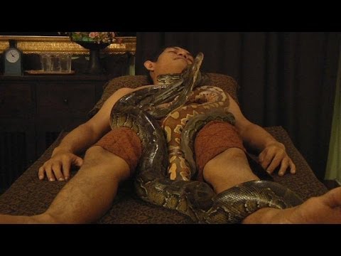 مركز استجمام في إندونيسيا يقدم جلسات تدليك بالأفاعي