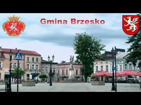 MGPM Brzesko 2017 - wybrzmiał gong przedwakacyjnych walk