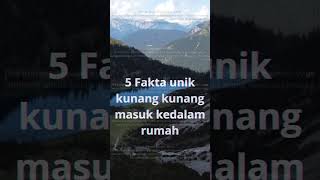 Download lagu 5 fakta unik jika kunang-kunang masuk ke dalam rumah #shortvideo #subscribe #faktaunik mp3