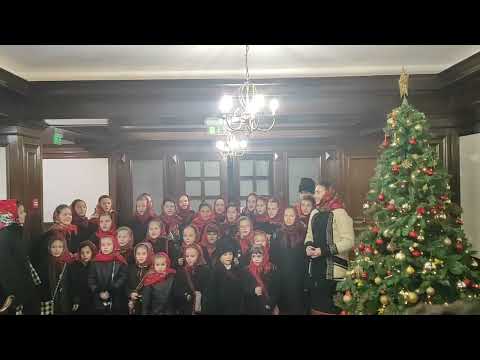 L-arg deschideți poarta sufletelor voastre un grup de Colindători din Bucovina 2022