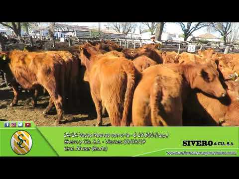 20-09-19 - Venta de Vientres - Sivero y Cía. S.A. - Gral.  Alvear