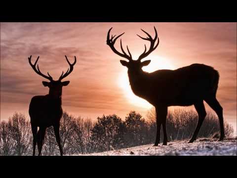 Colinde - George Negrea - Voinicul și Cerbul