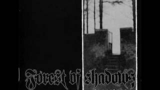 Forest Of Shadows - November Dream