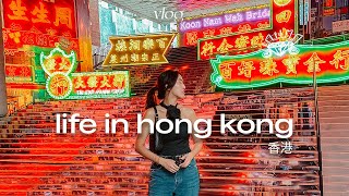 hong kong vlog | where we ate this week and neon light exhibition (our kitchen flooded)