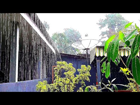 Best Tropical Rain Sounds For Sleep - Fall Asleep With Rain & Thunder Sounds At Night | For insomnia