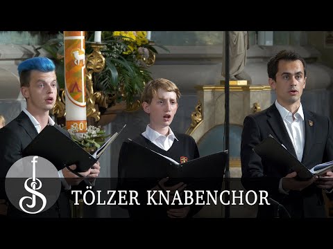 Johann Bach | Unser Leben ist ein Schatten - Tölzer Knabenchor