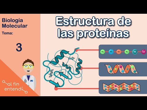 Protein structure and the bonds that stabilize it. I finally understand: Molecular biology