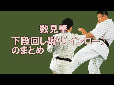 数見肇「下段回し蹴り（インロー）」のまとめ動画集