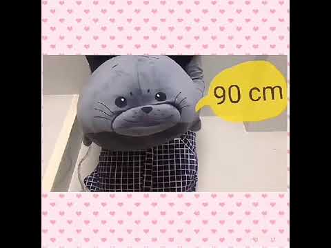 เพิ่มหน้าอกจากดาว อุปกรณ์เสริมเต้านม