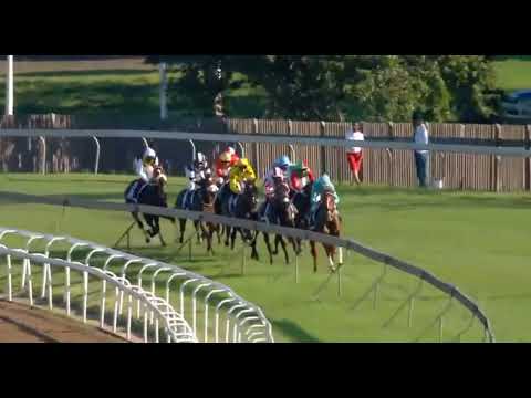 SAFE PASSAGE - 2022 DAILY NEWS 2000 Gr1 #HollywoodbetsGreville