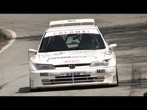 Peugeot 306 Maxi Rally Kit Car In Action with Great Sounds!!