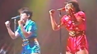 クラッシュギャルズ　炎の聖書  ﾊﾞｲﾌﾞﾙ