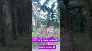 Download lagu salah sasaran #vidioluculucugojil  #vidiokocak #ngakak #komedy #hiburan #firal #fyp mp3