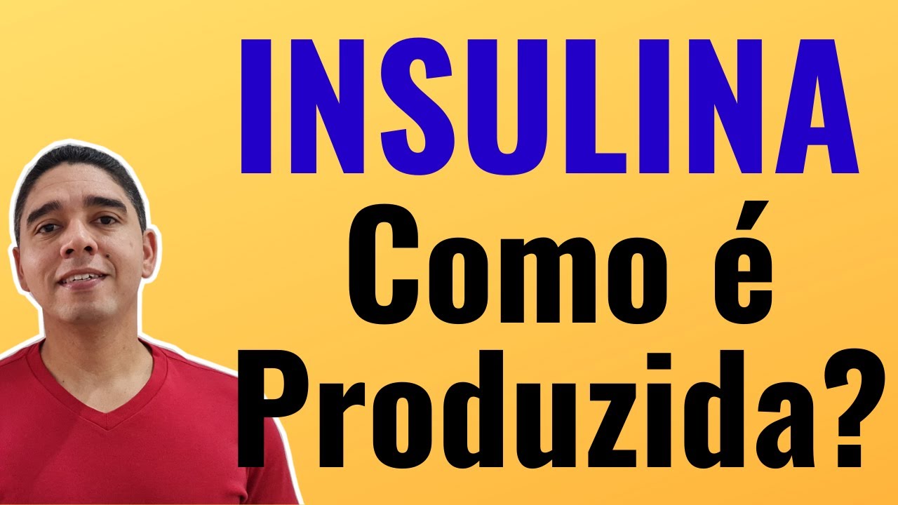 Como a Insulina é Produzida?